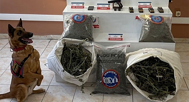 Pazar'da 11 kilodan fazla esrar ele geçirildi