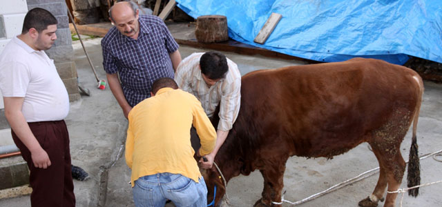 Bakırcı kasaplık mesleğini oğluna devretti