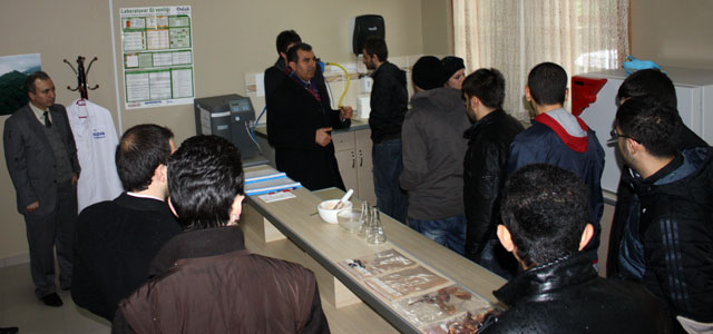 Genç MÜSİAD'lılar, Maviyemiş hakkında bilgi aldılar