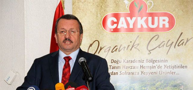 Çaykur'da 2. sürgün yaş çay kotası 500 kilo