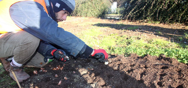 Rize'de Lale Devri yeniden başlıyor