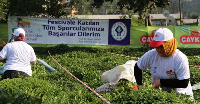 Rize'de Çay Toplama Yarışması düzenlendi