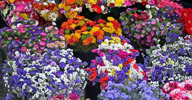 Söz Nişan Çiçekleri