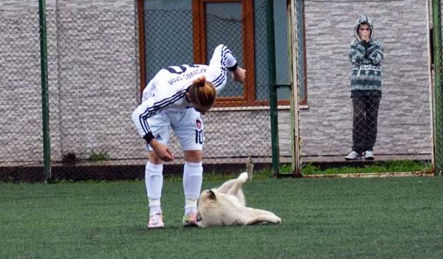 Rize'de amatör küme maçına "Köpek" engeli