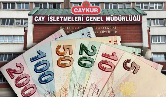 Çaykur, yaş çay destekleme paralarını ödedi
