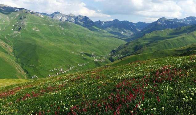 Anzer Yaylası, Ayder'e dönüşmeyecek