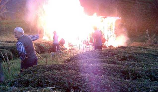 Çamlıhemşin'de yangın: Arı kovanları kül oldu