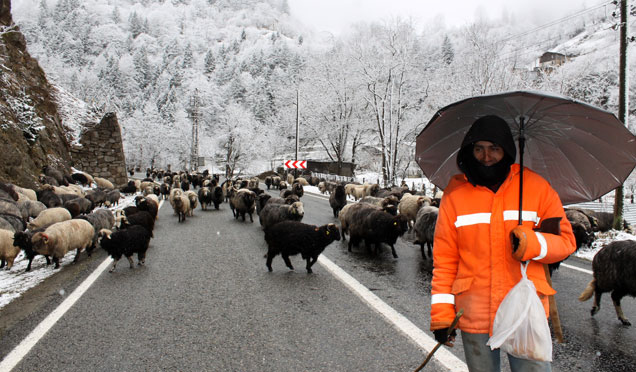 Rize'de yükseklerde kar yağışı etkili oluyor