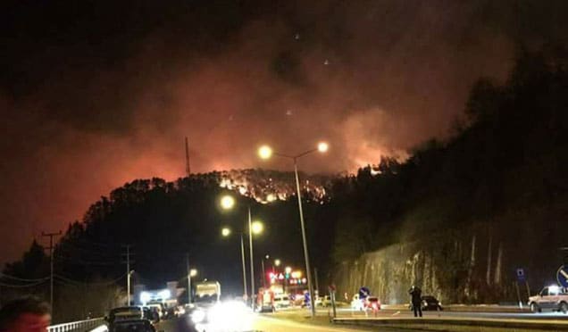 Karadeniz'de orman yangını, hem de kış günü!