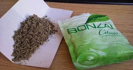 Rize'de 1 kilo bonzai yakalandı