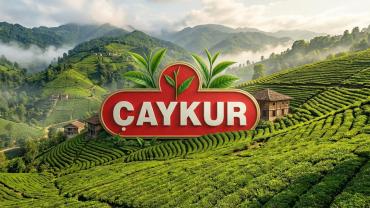 ÇAYKUR Uyardı: Hasatta Acele Etmeyin, Kaliteyi Koruyun
