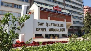 ÇAYKUR’da 2026 Sezonu için İşçi Alımı Yapılmayacak